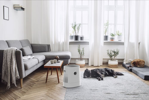 Boneco H320 Hybride Luchtwasser