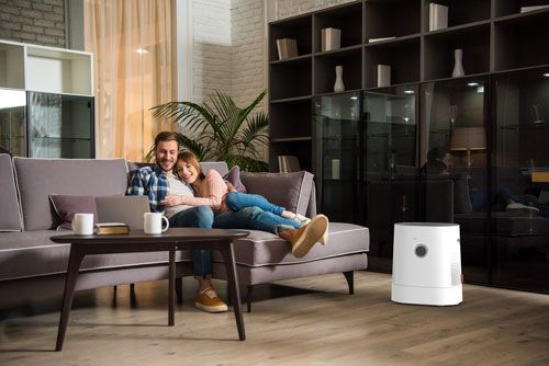 Boneco H320 Hybride Luchtwasser